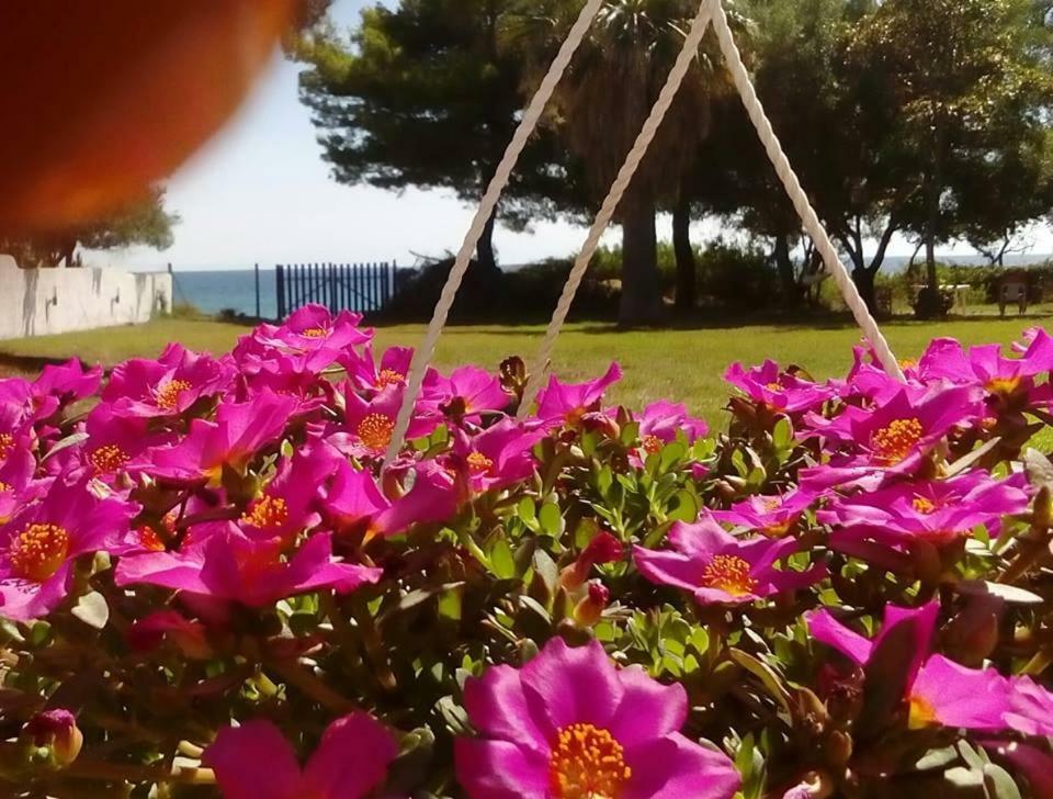 Seafront Villa Joan Nea Skioni Exterior foto